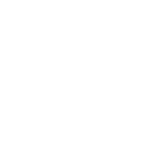 logo Fanss